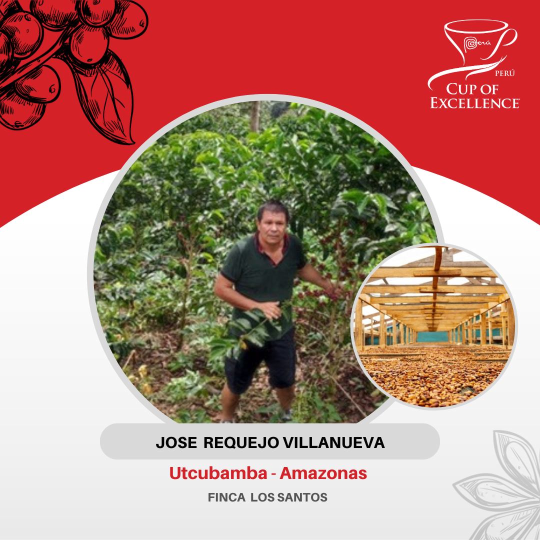 Taza de Excelencia 3