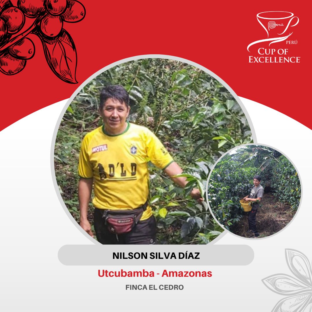 Taza de Excelencia 5