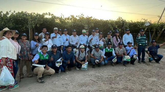 Mediante la Subgerencia de Desarrollo Económico se realizaron visitas de campo con productores de uva locales en la ciudad de Arequipa.