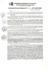 Vista preliminar de documento RDR_N_022-2023-GRU-DRA