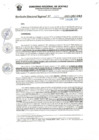 Vista preliminar de documento RDR_N_025-2023-GRU-DRA