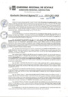Vista preliminar de documento RDR_N_038-2023-GRU-DRA