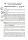 Vista preliminar de documento RDR_N_040-2023-GRU-DRA
