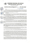 Vista preliminar de documento RDR_N_041-2023-GRU-DRA