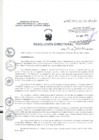 Vista preliminar de documento RD-368-2012-SA-DS-HNCH-DG
