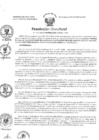 Vista preliminar de documento RD - 235