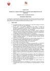Vista preliminar de documento Anexo 02 - Bases Convocatoria
