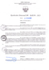 Vista preliminar de documento RD Nº000290 