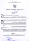 Vista preliminar de documento RD Nº000291