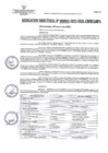 Vista preliminar de documento RD002-2023