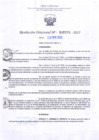 Vista preliminar de documento RD Nº000292 