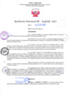 Vista preliminar de documento RD Nº000293 