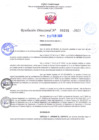 Vista preliminar de documento RD Nº000295 
