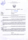 Vista preliminar de documento RD Nº000299 