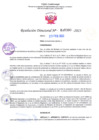 Vista preliminar de documento RD Nº000300