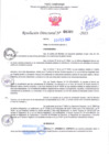 Vista preliminar de documento RD Nº000301