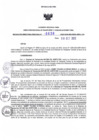 Vista preliminar de documento RDR N° 636-2023-30-10-2023