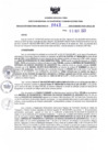 Vista preliminar de documento RDR N° 643-2023-03-11-2023