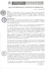 Vista preliminar de documento RAF N° 031-2022