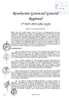 Vista preliminar de documento RGGR 285-2023-GRL-GGR