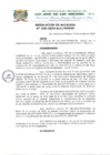 Vista preliminar de documento Resolucion sofware publico