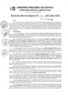Vista preliminar de documento RDR_N_047-2023-GRU-DRA