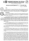 Vista preliminar de documento RDR_N_117-2023-GRU-DRA