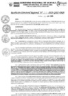 Vista preliminar de documento RDR_N_119-2023-GRU-DRA