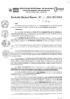 Vista preliminar de documento RDR_N_121-2023-GRU-DRA