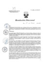 Vista preliminar de documento R.D. 038-2023