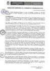 Vista preliminar de documento RAF N° 045-2022