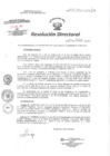 Vista preliminar de documento RD N° 294-2017-HCH-DG