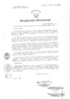 Vista preliminar de documento RD N° 312-2017-HCH-DG