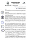 Vista preliminar de documento R.D.N°530-2023-HGJ-DE