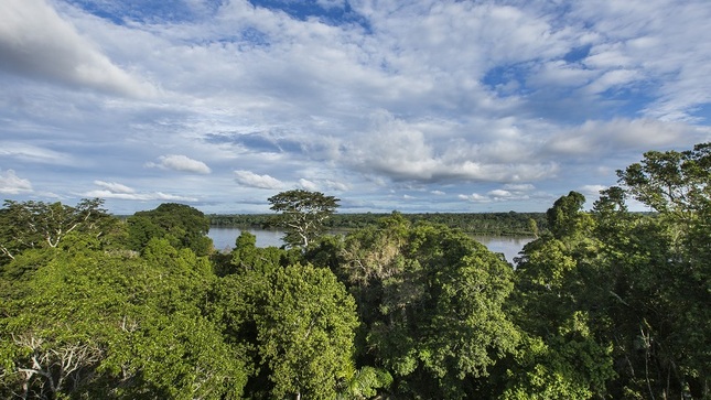 Bosques