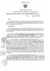 Vista preliminar de documento RDR N° 653-2023-08-11-2023