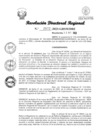 Vista preliminar de documento RDR Nº 2822-2023-GRSM-DRE