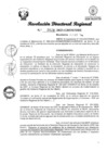 Vista preliminar de documento RDR Nº 2828-2023-GRSM-DRE