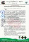 Vista preliminar de documento RESOLUCION DE ALCALDIA N°  115-2023-MDI-A-SG