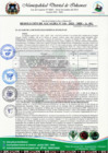 Vista preliminar de documento RESOLUCION DE ALCALDIA N°  116-2023-MDI-A-SG