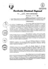 Vista preliminar de documento RDR Nº 2867-2023-GRSM-DRE
