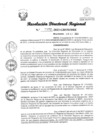 Vista preliminar de documento RDR Nº 2872-2023-GRSM-DRE