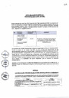 Vista preliminar de documento Acta de Comité Especial