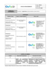 Vista preliminar de documento PE0104  Aprobación y seguimiento_planes temáticos e internos_f