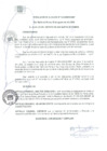 Vista preliminar de documento RA 163-2020
