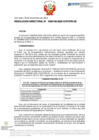 Vista preliminar de documento RD Nº D000136-2023-DE