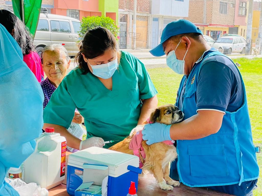 Decenas de canes recibieron atención médica esta tarde gracias a la "Campaña de Desparasitación, Limpieza de Oídos y Antipulgas" 