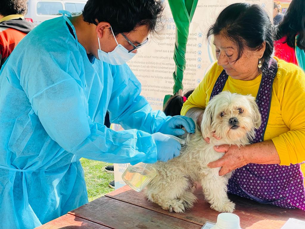 Decenas de canes recibieron atención médica esta tarde gracias a la "Campaña de Desparasitación, Limpieza de Oídos y Antipulgas" 