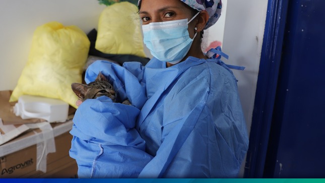 Campaña de Esterilización