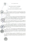 Vista preliminar de documento RA 173-2020